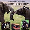 Sociobiology The New Synthesis Twenty Fifth Anniversary Edition