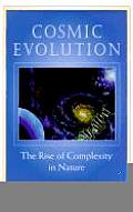 Cosmic Evolution The Rise Of Complexity