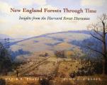 New England Forests Through Time Insights from the Harvard Forest Dioramas