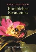 Bumblebee Economics: With a New Preface