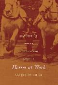 Horses at Work: Harnessing Power in Industrial America