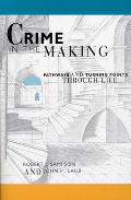 Crime in the Making: Pathways and Turning Points Through Life