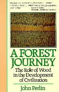 Forest Journey The Role Of Wood In The