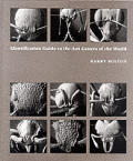 Identification Guide To The Ant Genera Of The