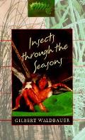 Insects Through The Seasons