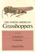 The North American Grasshoppers