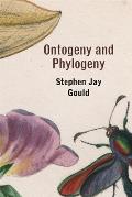 Ontogeny & Phylogeny