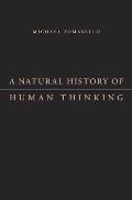 Natural History Of Human Thinking