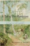 A Tale of Two Plantations: Slave Life and Labor in Jamaica and Virginia