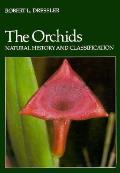 Orchids Natural History & Classification