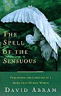 Spell of the Sensuous