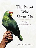 Parrot Who Owns Me The Story Of A Relati