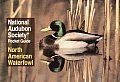 National Audubon Society Pocket Guide to Waterfowl