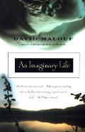 An Imaginary Life
