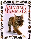 Amazing Mammals Eyewitness Juniors