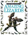 Amazing Lizards Eyewitness Juniors