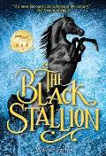 Black Stallion 01 Black Stallion