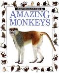 Amazing Monkeys Eyewitness Juniors No12