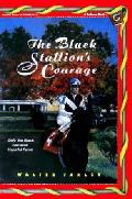 Black Stallion 12 Black Stallions Courage