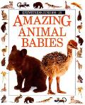 Amazing Animal Babies Eyewitness Junior