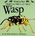 Wasp A Read About Fold Out & Pop Up