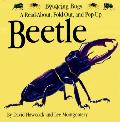 Beetle A Read About Fold Out & Pop Up