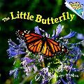 Little Butterfly Picturebacks