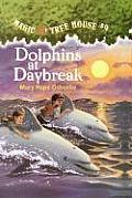 Dolphins at Daybreak