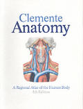 Anatomy A Regional Atlas Of Human Body