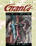 Grants Atlas Of Anatomy 10th Edition