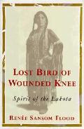 Lost Bird Of Wounded Knee Heroic Spirit