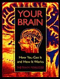 Your Brain How You Got It & How it Works