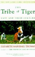 Tribe Of Tiger Cats & Their Culture