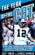 Year Of The Cat How The Carolina Panther