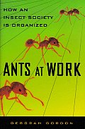 Ants At Work How An Insect Society Is Or