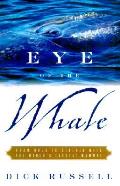 Eye Of The Whale