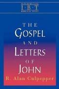 Gospel & Letters of John Interpreting Biblical Texts Series