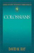 Abingdon New Testament Commentaries: Colossians