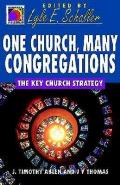 One Church, Many Congregations: The Key Church Strategy (Ministry for the Third Millennium Series)