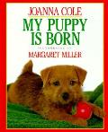 My Puppy Is Born