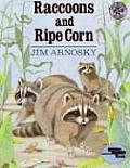 Raccoons & Ripe Corn
