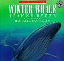 Winter Whale Just For A Day Book