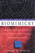 Biomimicry Innovation Inspired By Nature