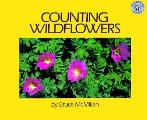 Counting Wildflowers