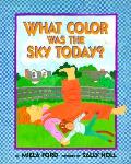 What Color Was The Sky Today