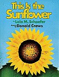 This Is The Sunflower