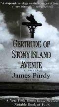 Gertrude Of Stony Island Avenue A Novel