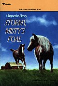 Stormy Mistys Foal