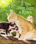 If You Were Born A Kitten