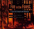 Fire In The Forest A Cycle Of Growth &